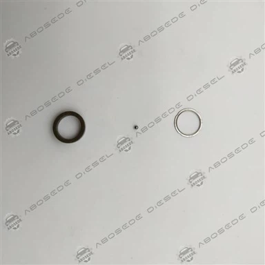 F00VC99002 বোশ সাধারণ রেল ইনজেক্টর সিল কিট